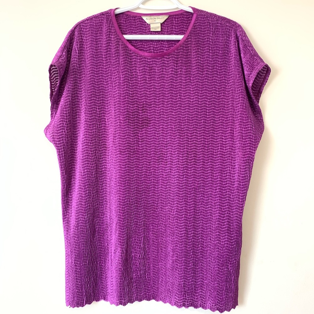 Allison Daley Purple Short Sleeve Blouse size 2X